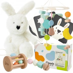 CLASSIC WORLD Pastelinė kūdikio rinkinių dėžutė Pirmieji žaislai nuo 0 iki 6 mėn
