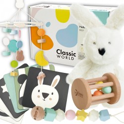 CLASSIC WORLD Pastelinė kūdikio rinkinių dėžutė Pirmieji žaislai nuo 0 iki 6 mėn
